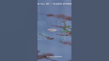 POCKET OPTION BOT 2026: Witness 98.4% Accuracy In Real-Time Automated Trading #shorts