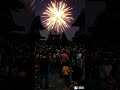 Christmas entrance