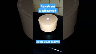 Рубрика с Алисой.изучаем аглийский с Алисой!