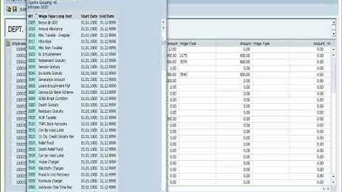 Payroll Rollout in CSI| Core system Integrator| Pay generation| TCS|DOP