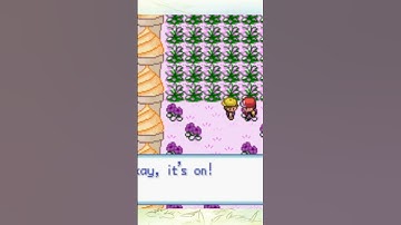 Pokémon Sweet Rom Hack Is Dessert Themed