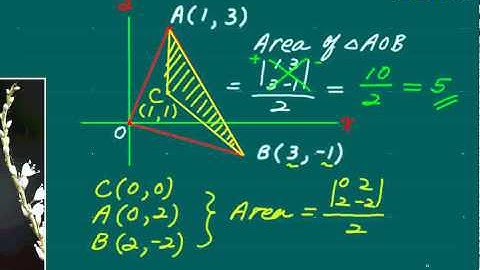 Area of Triangle on Graph using Determinant 2