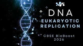 DNA Replication in EUKARYOTES in one shot