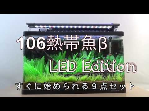 106熱帯魚β　LED Edition