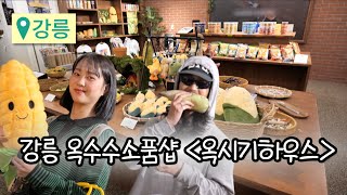 [강릉] 옥시기세계에 오신걸 환영합니다 #옥시기하우스 #강릉소품샵 #강릉옥수수소품샵