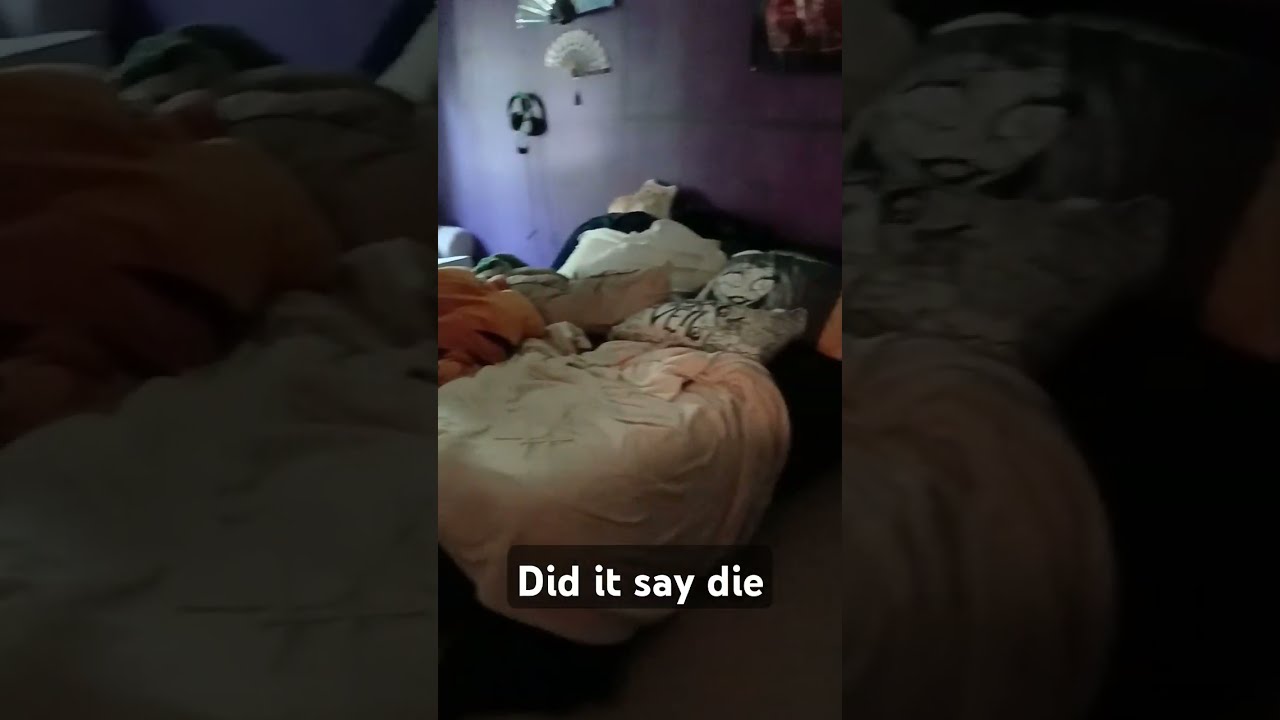 This Ghost Session Was A Bit Interesting Ghosthunting Unknown Spirtbox