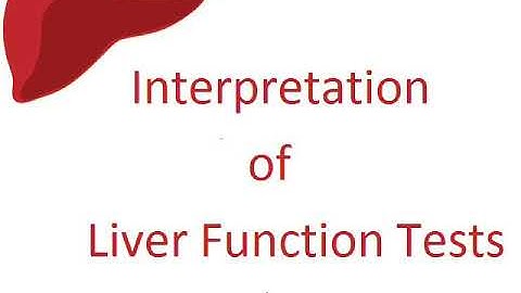 Interpretation of Liver Function Tests (LFT