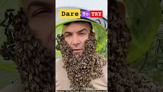 Insane Bee Bearding! 🐝😱 Dare to Try? #shorts #beebearding #facts