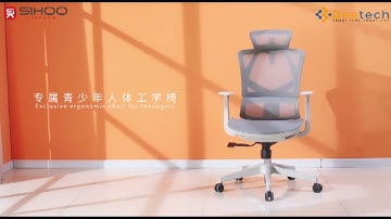 Giới thiệu ghế công thái học Ergonomic Sihoo M91C Vito | Beetech Group