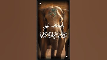 تلاوة خاشعة || سورة الفيل || الشيخ عبد الكريم عَلوه #تلاوة_خاشعة #قرآن #الشيخ_عبد_الكريم _علوه
