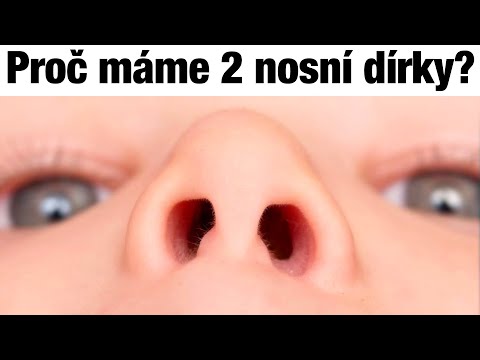 Video: Proč Dětský Nos Nedýchá?