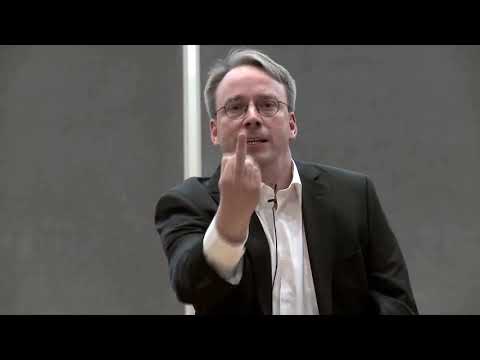 Linus Torvalds - Fuck You for 5 minutes (Loop)