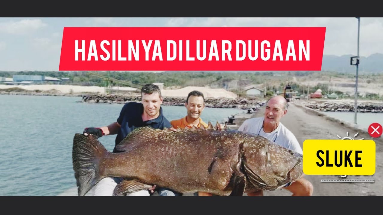 JARING IKAN || DI PELABUAN SLUKE REMBANG