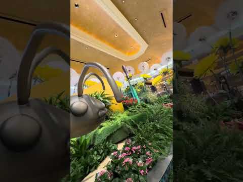 THURSDAY AT KING LION CASINO #like #smartphone #automobile #subscribe #food #explore #fyp