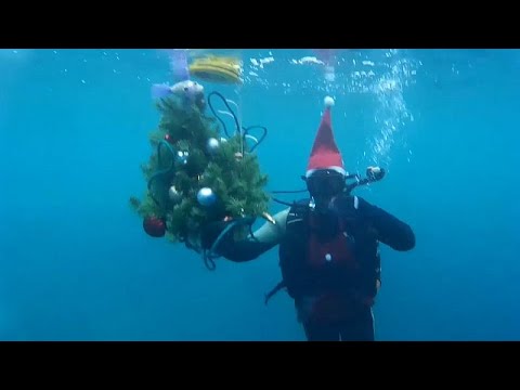 فيديو: شجرة عيد الميلاد في الكرملين. شجرة الكرملين: التذاكر والاستعراضات