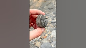 Air Scribe Prep on a Fossil Vertebra! 🦴💨