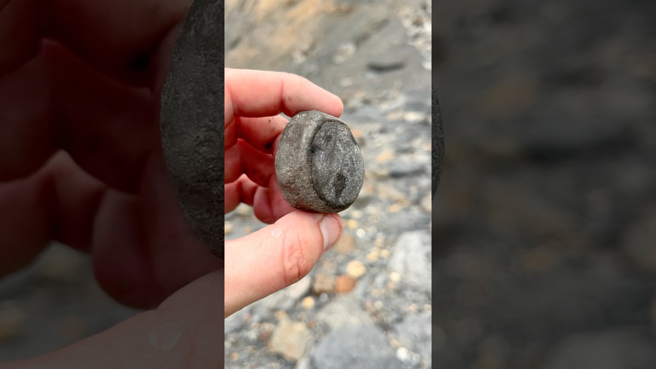 Air Scribe Prep on a Fossil Vertebra! 🦴💨