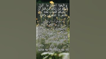 |سورة الزمر| #islam #islamicvideo #islamic #islamicstatus #verse