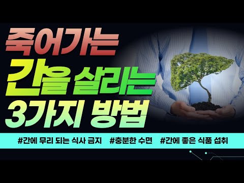 죽어가는 간을 살리는 3가지 방법! [방태환원장의 건강강의]