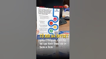 In tờ rơi A4 1000 tờ giấy C150gsm - In Kỹ Thuật Số Since 2006