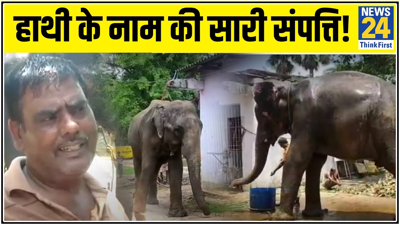 दो हाथियों के नाम की अपनी 6.25 एकड़ ज़मीन. गर्भवती हथिनी की मौत से थे दुखी। Elephant। Kerala