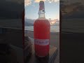 СЭС анализы