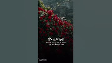 #quran #المصحف #تلاوة_خاشعة #الرحمن #القرآن_الكريم #راحة_نفسية #quran