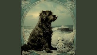 Shoreline Canine Notes