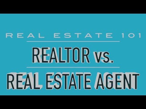 Top Realtors Mount Dora Fl