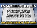 Evangelio de hoy Martes, 24 de Agosto de 2021 - Ahí tienen a un israelita de verdad