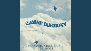 Harmonious Bond Chill Serenade