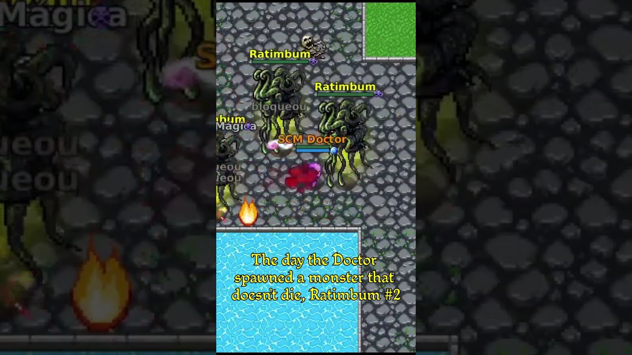 The day the SCM Doctor spawned a monster that doesn't die, Ratimbum part 2 