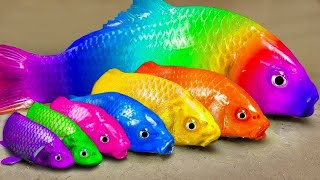 Stop Motion Cooking ASMR Colorful Koi Fish Cow, ikan & Big Frog 다채로운 잉어물고기 | 거대한 개구리 - 무지개 메기/ 스톱 모션