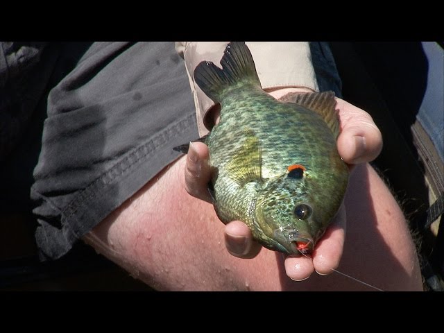 Watch New Spiro Lake Fishing on YouTube.