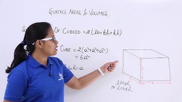 Class10th – Surface Area of Cuboid and Cube | Surface Area and Volumes | Tutorials Point