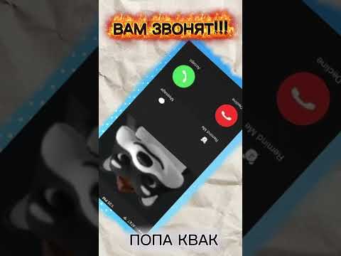 ПОПА КВАК #shorts #trending #memes #popakvak