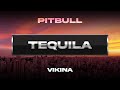 Pitbull X Vikina Tequila Visualizer mp3