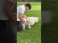 Julian Alvarez jugando con su hijo y su perro a la pelota