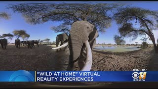 Earth XR Presents Virtual Nature Reserve