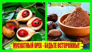 Мускатный орех - будьте осторожны!