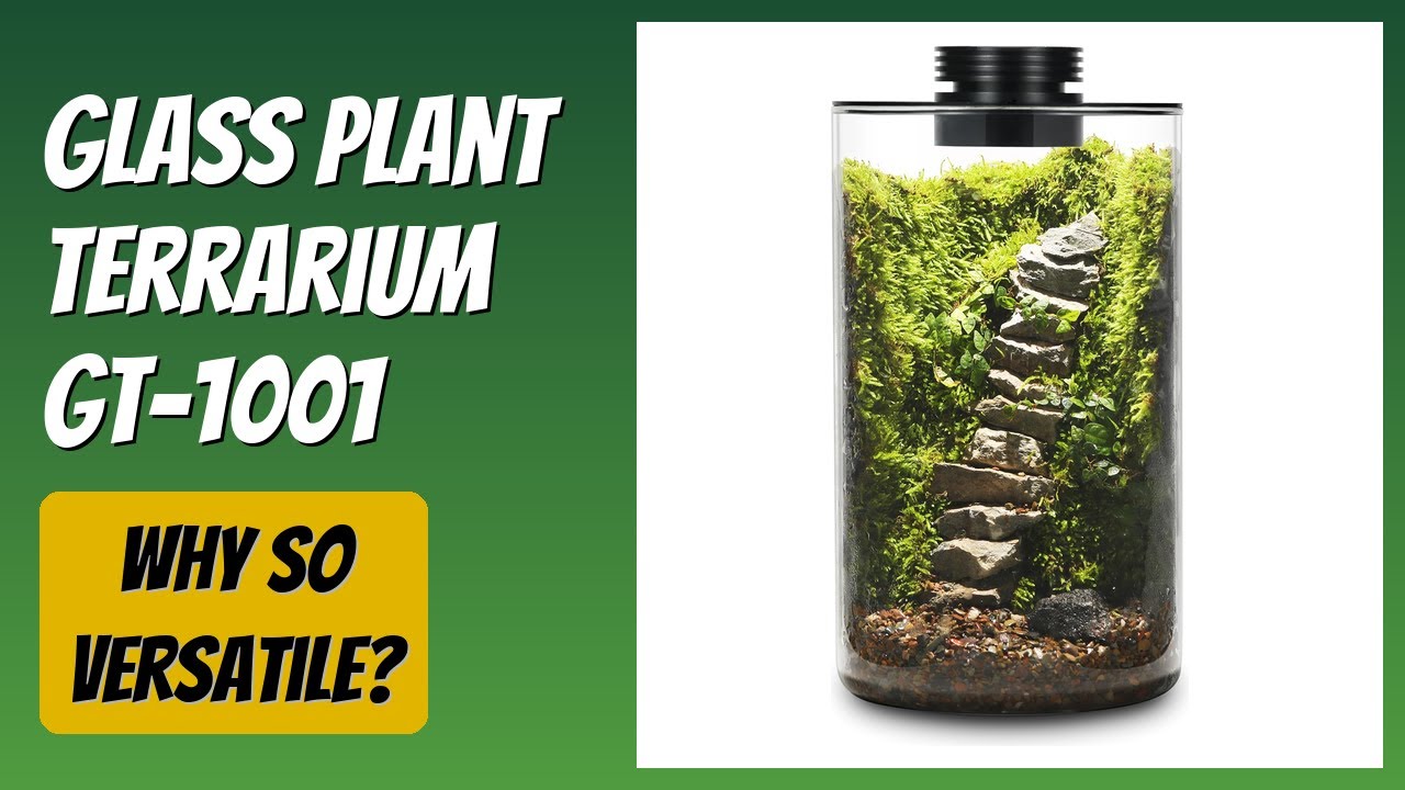 REVIEW (2026): Glass Plant Terrarium GT-1001. Features.