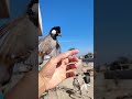 حافظ دائمآ على من يهتم بك ولاتخسرة قد لاتعطيك الحياة مثيله أبدآ