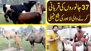 Lahore ki sub se munfarid qurbani, bakray, chatray, bachray, dumbay, oont aur nayyab halal janwar...