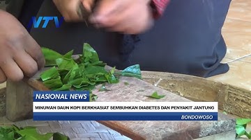 MINUMAN DAUN KOPI BERKHASIAT SEMBUHKAN DIABETES DAN PENYAKIT JANTUNG