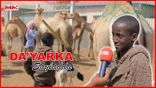 Waan Shaqeystaa Oo Xoogeyga Ayaan Cunaa Wiilka Ugu Yar Ee Ka Shaqeeya Saylada Hargeysa