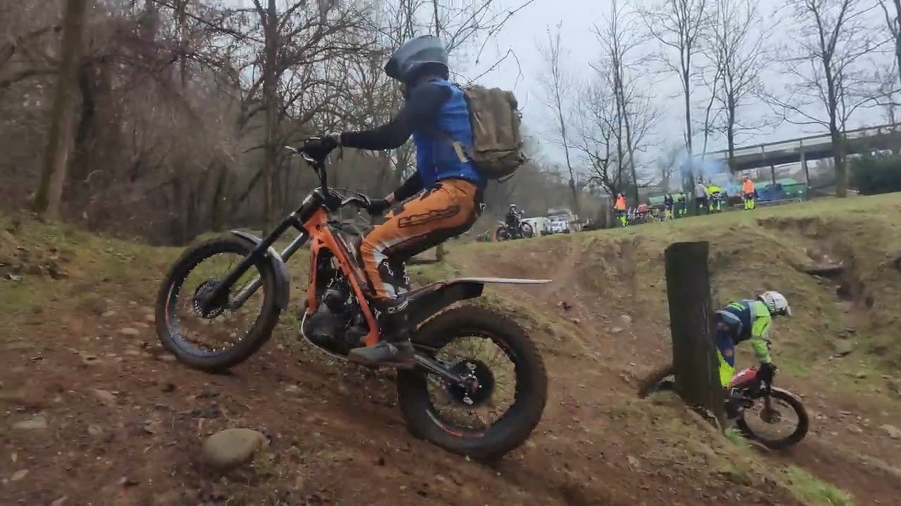 Zonetta della domenica 