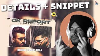 Ok Report - Dj FLow Ft. Karan AUjla (Details   Snippet)