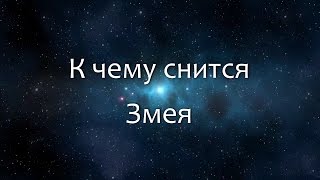 К чему снится Змея (Сонник, Толкование снов)