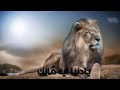 حالات واتس حسن عبد الوهاب