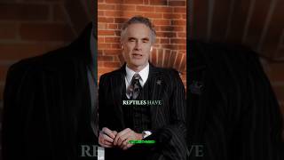 Mammals And Reptiles #motivation #jordonpeterson